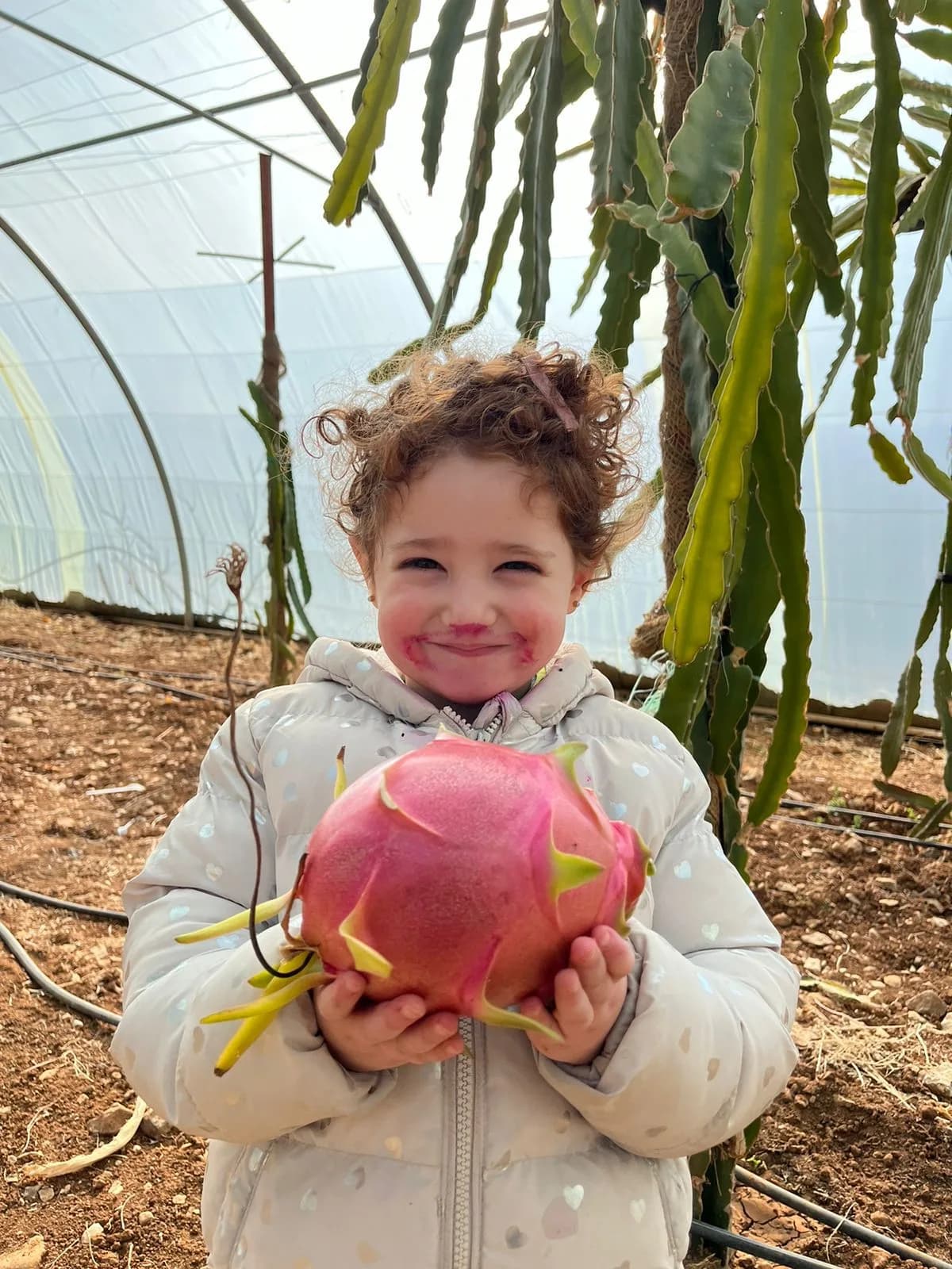 Ahmad Al-Noubani – Dragon Fruit Farm, Madaba